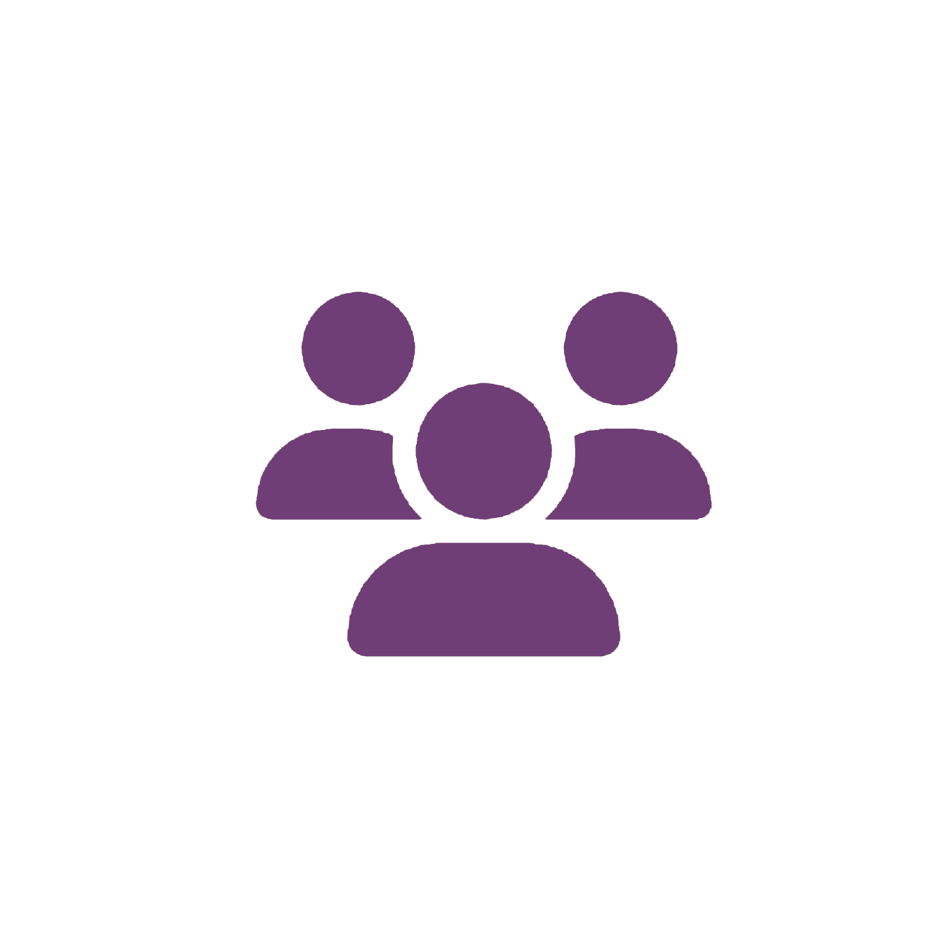 About the Team